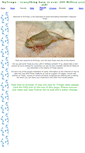 Mobile Screenshot of mytriops.com