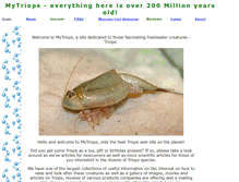 Tablet Screenshot of mytriops.com